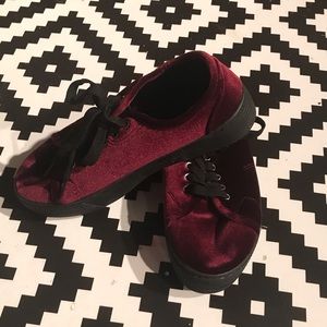 Maroon Velvet Creeper- 8